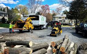 Best Commercial Tree Services  in Cutten, CA