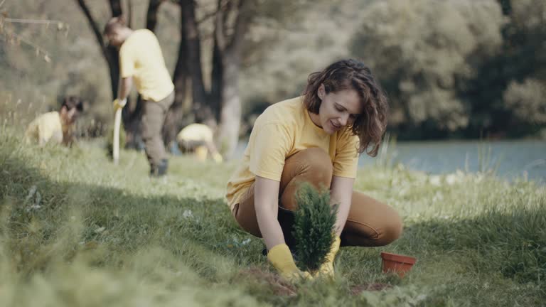 Best Stump Grinding and Removal  in Cutten, CA